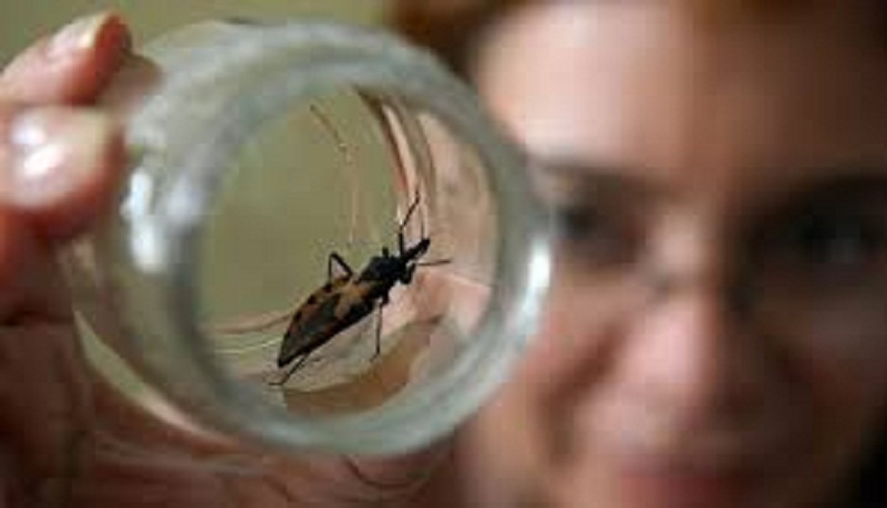 GOYA ESTUVO REPRESENTADA EN JORNADA PROVINCIAL DE CHAGAS