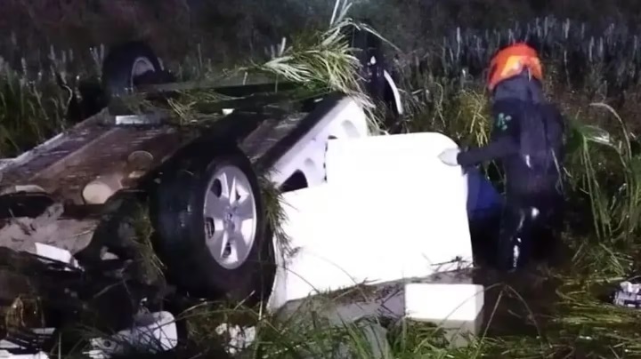 Tragedia: viajaba con su familia, chocó con un carpincho y murió