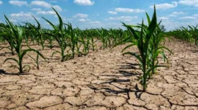 Alerta roja meteorológica por un fenómeno atmosférico que azotará al país: cuándo llegará