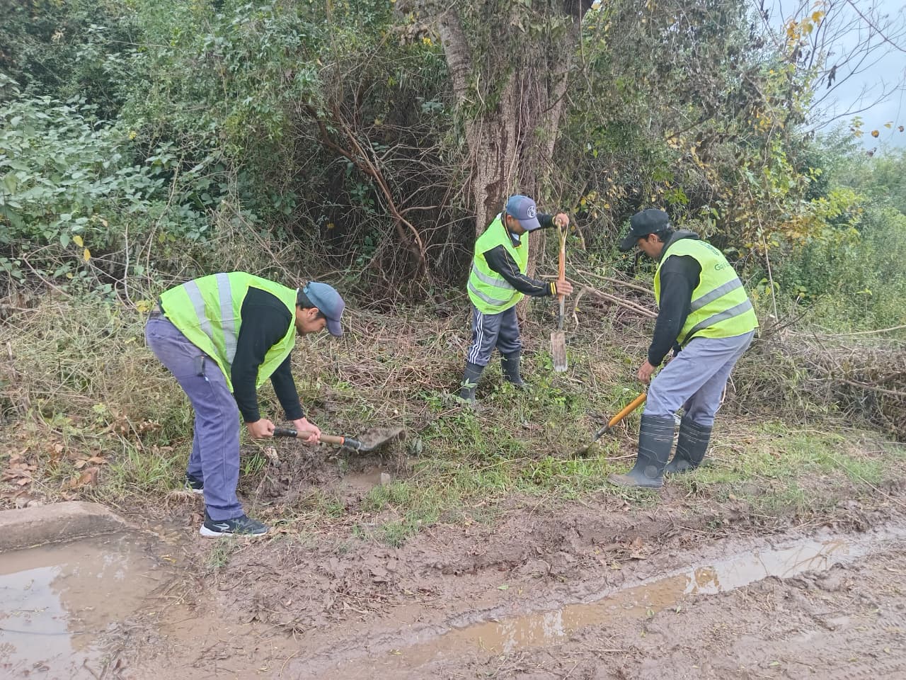TRABAJO DE LIMPIEZA Y BARRIDO EN EL BARRIO COSTA DEL PARANÁ