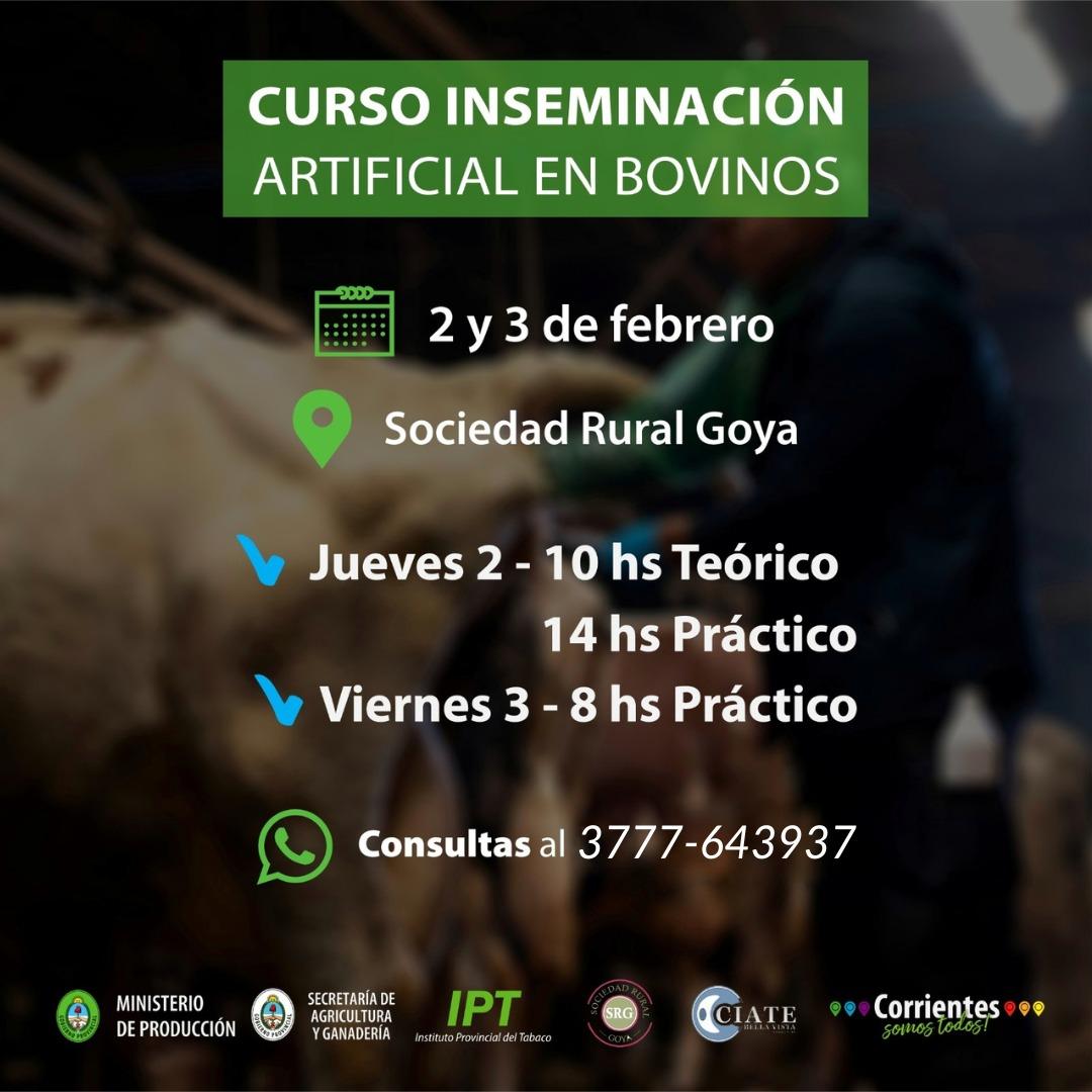 curso inseminacion