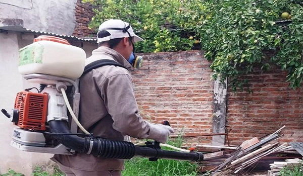 Diario Primera Hora