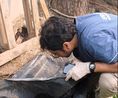 Salud continúa detectando larvas e insiste en la eliminación de criaderos en los hogares
