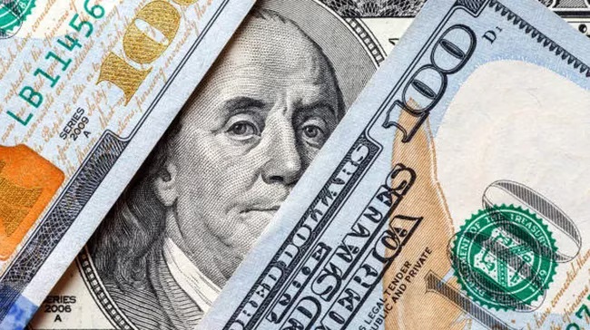 Debate por la dolarización: las opiniones a favor y en contra de los economistas