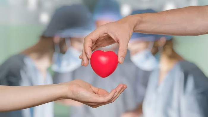 Día de la donación de órganos: por qué se conmemora este 30 de mayo.