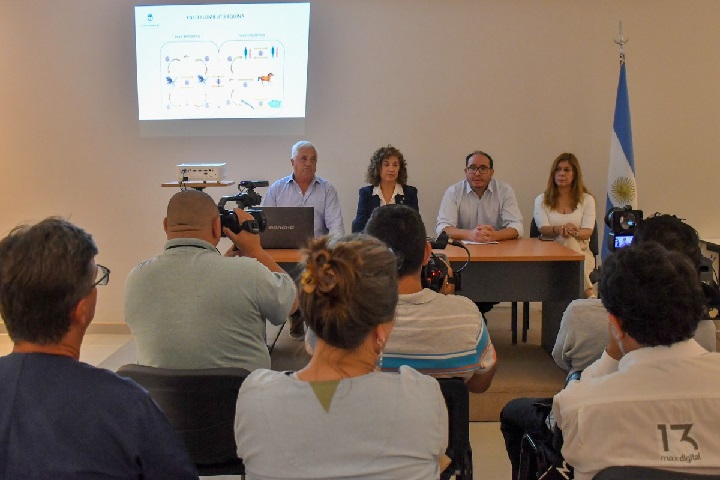 Encefalomielitis equina: desde el Gobierno comunicaron las medidas de acción contra la enfermedad