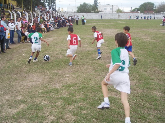 ESCUELA MUNICIPAL DEPORTIVA