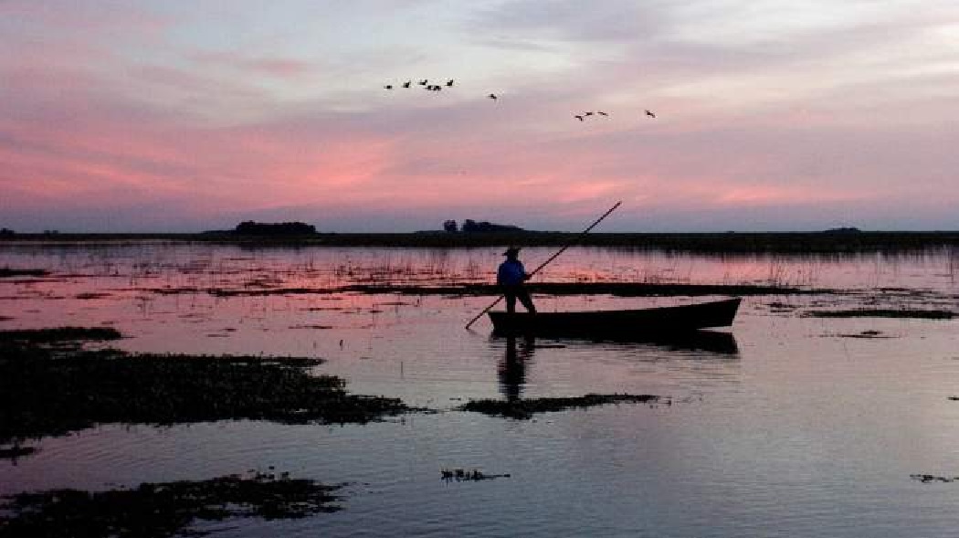 El Iberá entre los 9 destinos más interesantes en América para visitar
