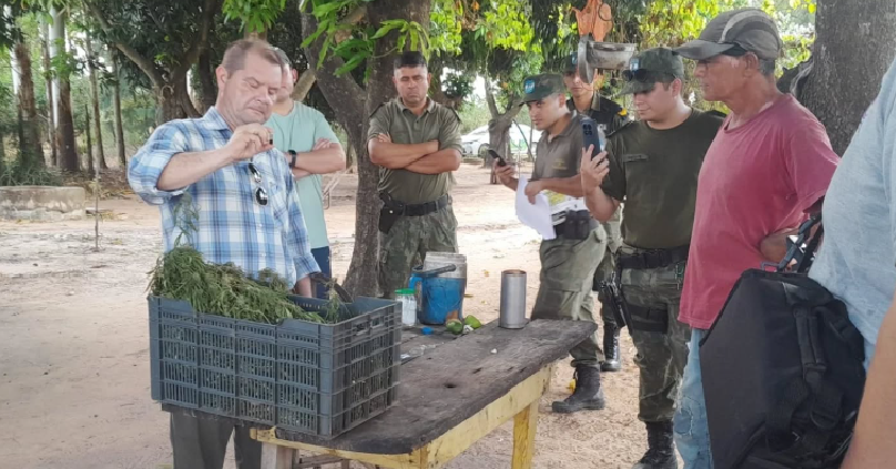 BELLA VISTA: FUERON A BUSCAR UNA VACA Y TERMINARON DESCUBRIENDO UN JARDÍN DE MARIHUANA