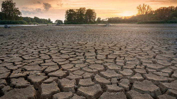 Crisis climática: el pasado mes de marzo fue el segundo más cálido registrado a nivel global