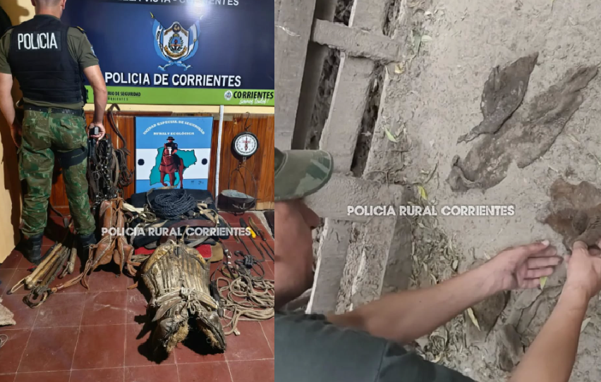 BELLA VISTA: ALLANARON LA CASA DE UN CUATRERO Y FUE MUY POSITIVO