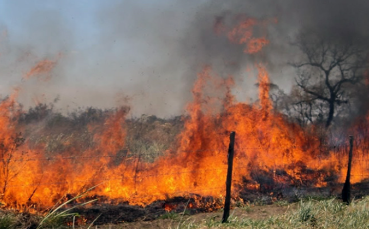 Incendios en Corrientes: una víctima fatal y miles de hectáreas afectadas