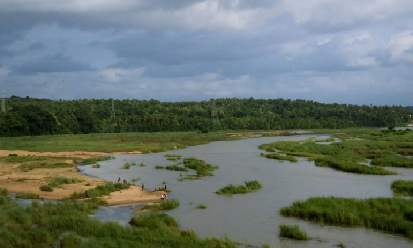 El Paraná en riesgo: científicos advierten que más de la mitad de los deltas del mundo se están hundiendo