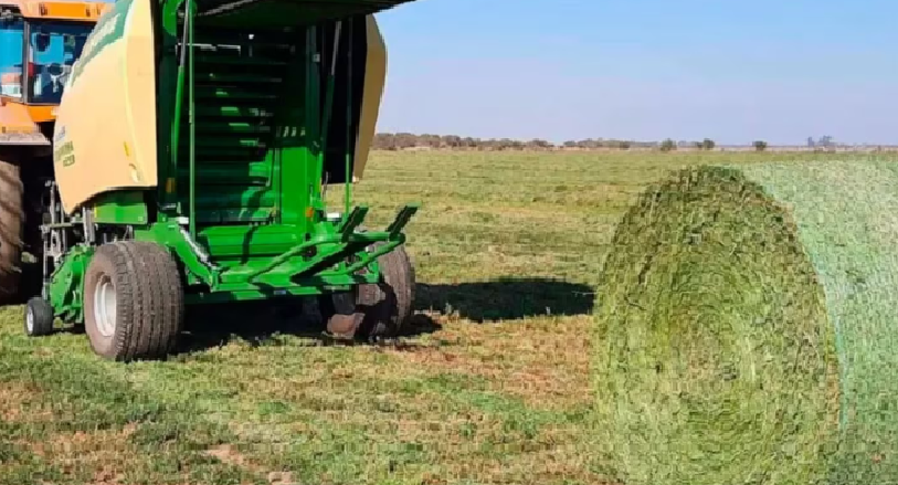 TRAGEDIA EN ENTRE RÍOS: UN TRABAJADOR RURAL DE 70 AÑOS MURIÓ TRAS SER APLASTADO POR UN ROLLO DE ALFALFA