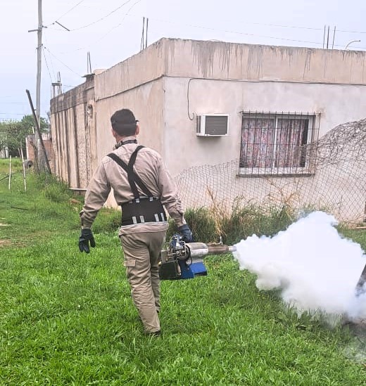  Dengue: Salud Pública insiste en la eliminación de criaderos