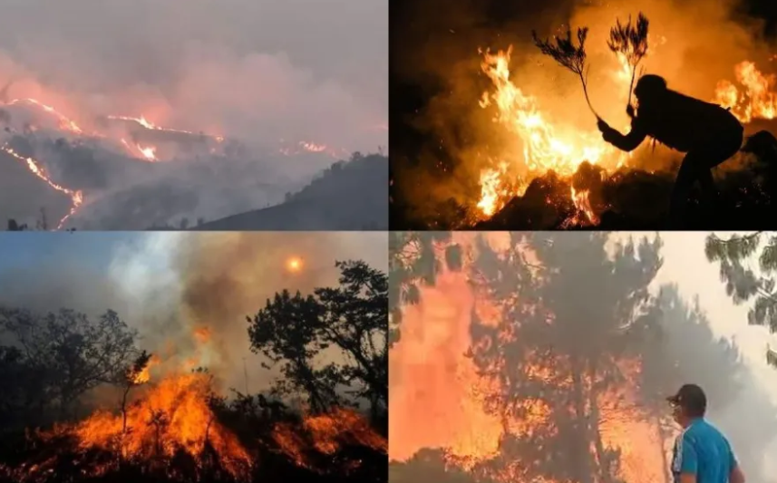 Mega incendio forestal en Amazonas es incontrolable
