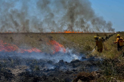incendio en pellegrini
