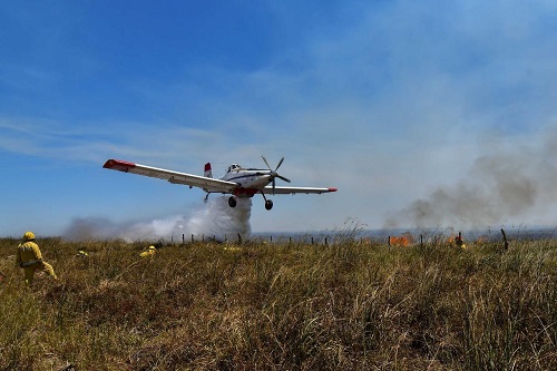 incendio_en_carlos_pellegrini3.jpg