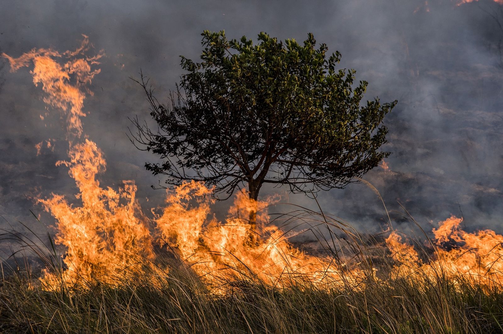 incendios