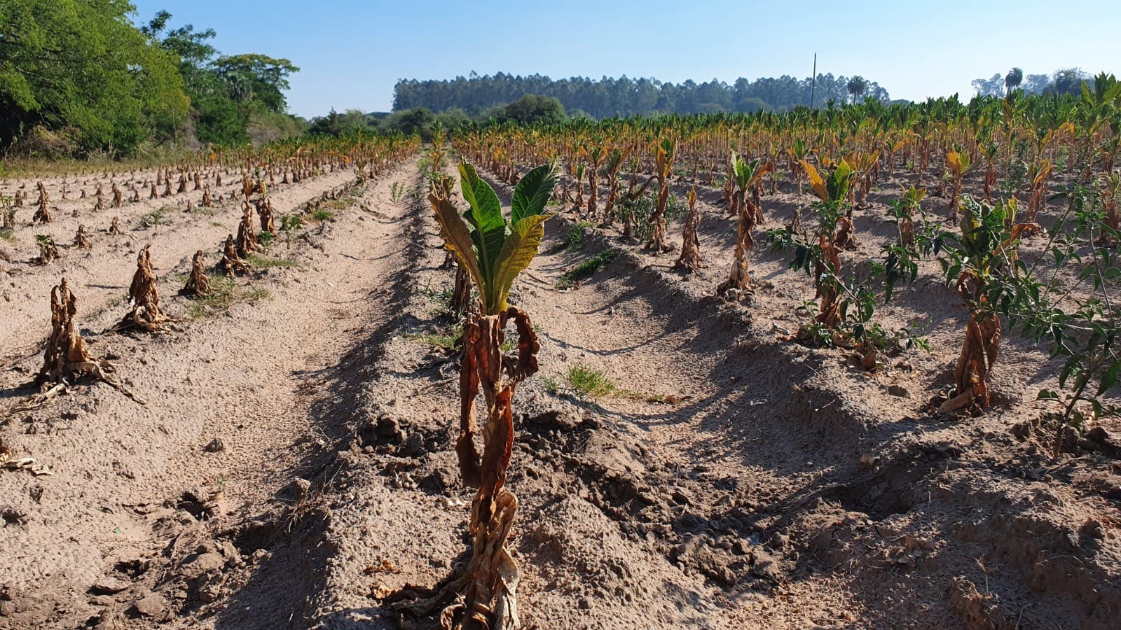 PLAN CONTINGENCIAS CLIMÁTICAS: EL IPT CONCRETÓ EL PAGO ESTE JUEVES