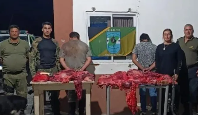 Cuatreros capturados con carne de terneros faenados en un auto