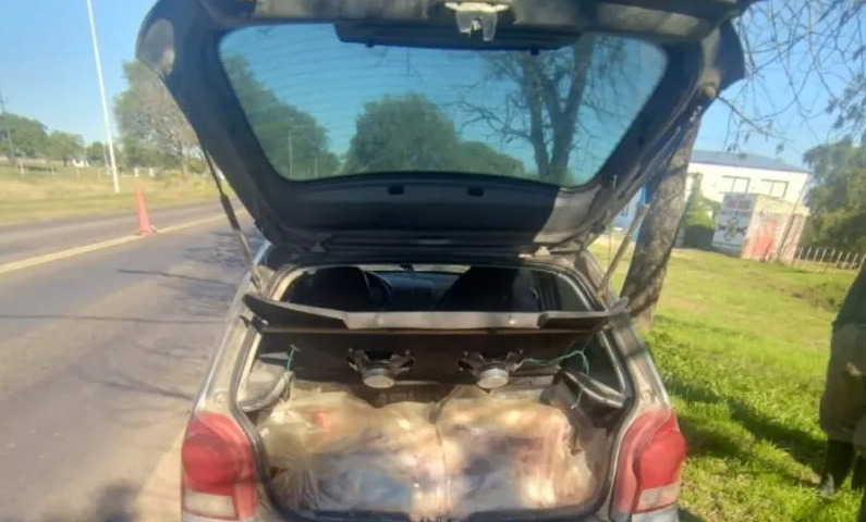 Llevaban unos 250 kilos de carne ilegal en el baúl de un auto
