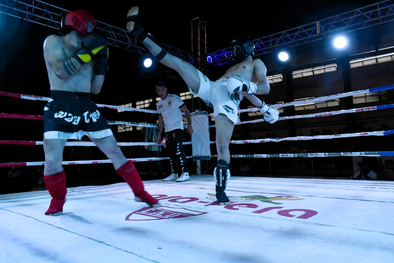kickboxing_Maxi_Meza_ilustracion_2.jpg