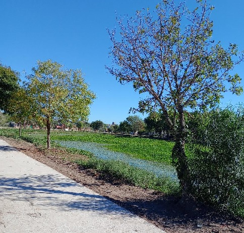 RAPIDO AVANCE EN LA CONSTRUCCIÓN DE SENDEROS EN LAGUNA MATADERO