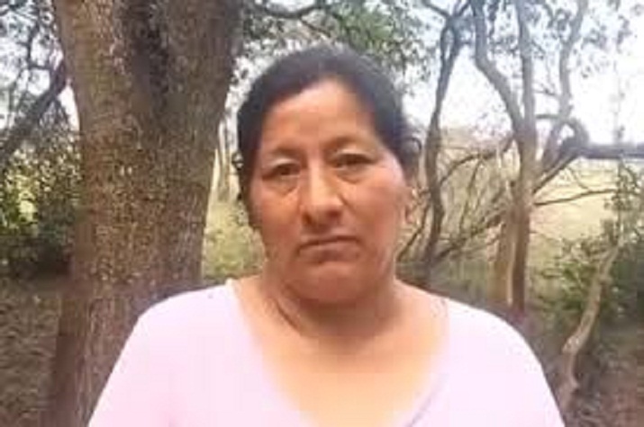 LA DECLARACIÓN DE LAUDELINA, TÍA DE LOAN: "YO VI COMO LO ALZABAN DESVANECIDO