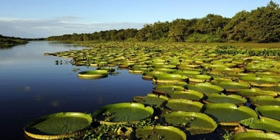 ley parque Ibera