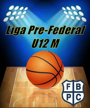 liga federal