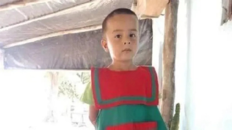"Loan volvió solo a la casa de la abuela": la hipótesis de Ramírez y Millapi que destapó una nueva revelación.