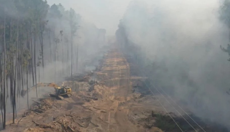 Incendios: los 15 focos críticos que azotan a Corrientes