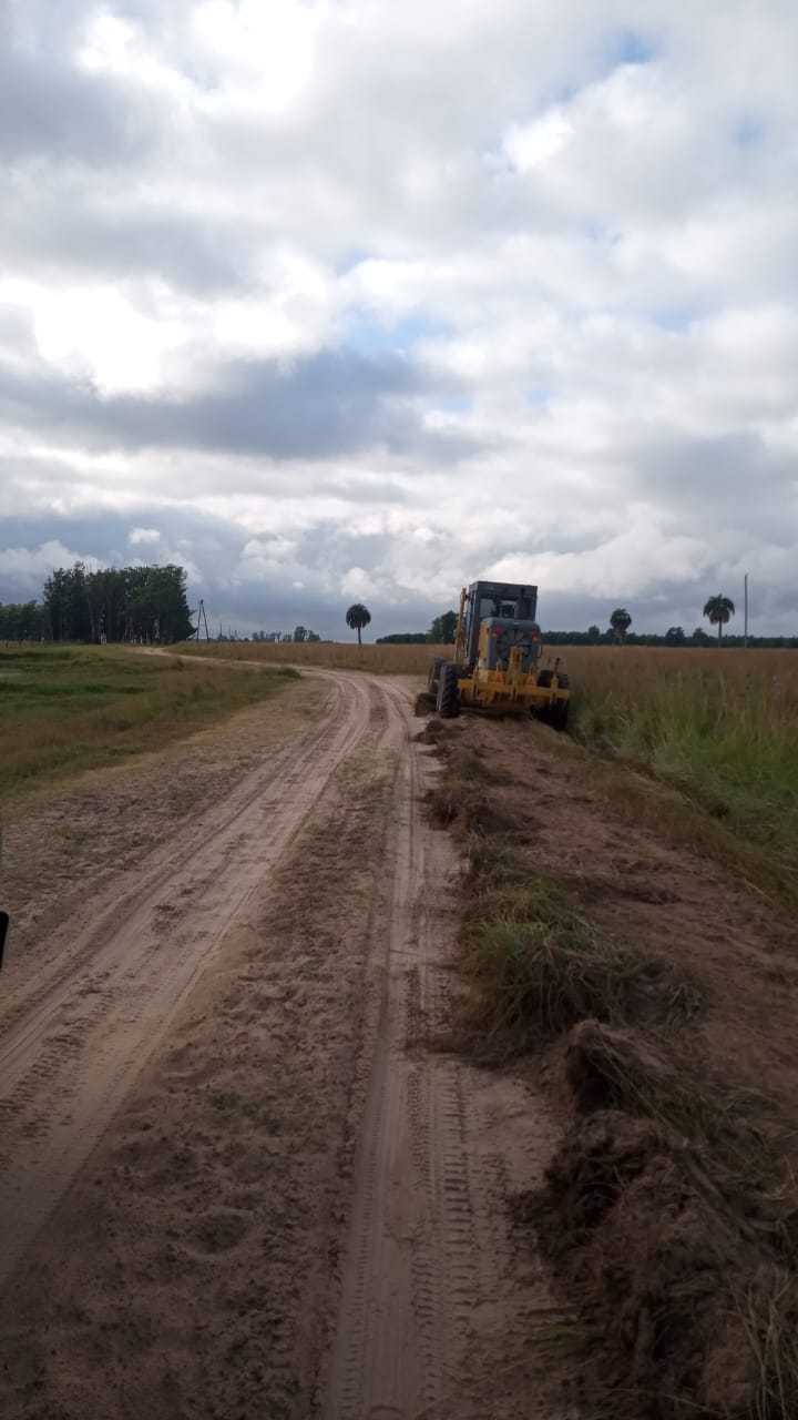 TRABAJOS DE MANTENIMIENTO DE CAMINOS RURALES