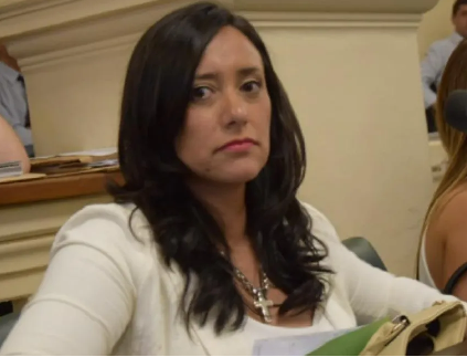 mariel meza diputada