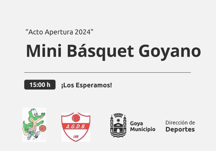 mini basquet
