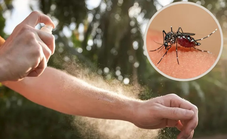 Salud recomienda intensificar tareas de prevención por Dengue ante el movimiento turístico