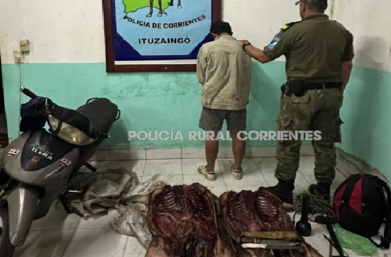 ITUZAINGÓ: LO AGARRARON CAZANDO CARPINCHOS EN UNA RESERVA NATURAL