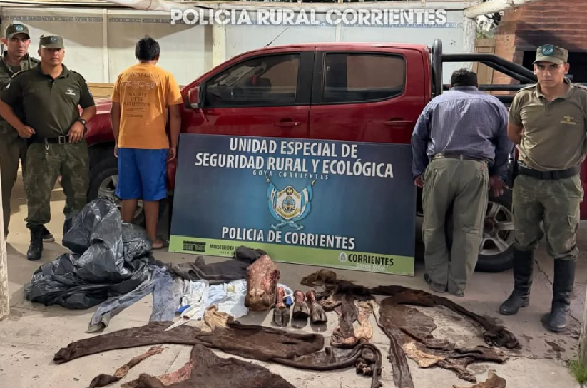 GOYA: DETUVIERON A DOS HOMBRES CON CUEROS Y HERRAMIENTAS DE UNA FAENA ILEGAL