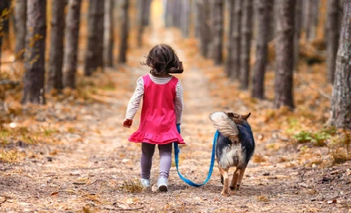 CARTA DEL LECTOR: Mantengamos la sanidad de las mascotas