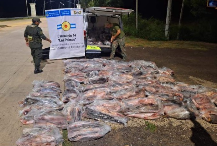 Chaco: secuestraron dos toneladas de varias especies de pescado