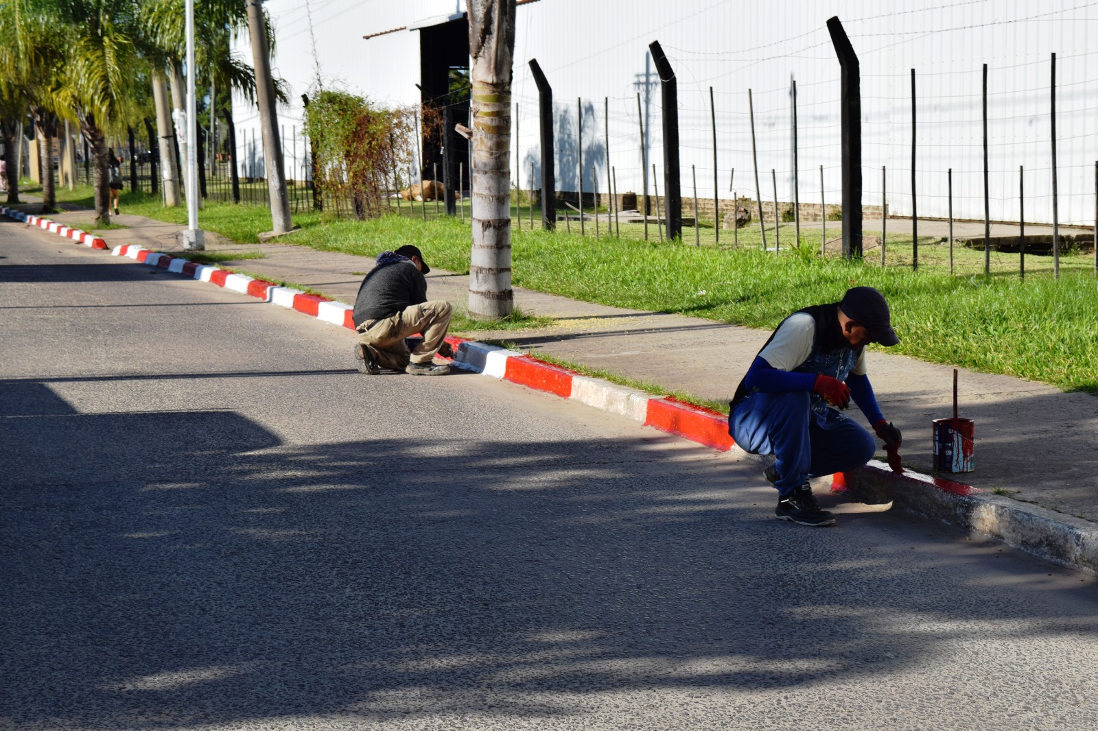 SEÑALIZACIÓN Y PINTURA EN LOS CORDONES DE AVENIDA DE LOS PRIMEROS CONCEJALES