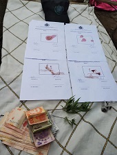 UN DETENIDO Y PLANTAS DE MARIHUANA INCAUTADAS