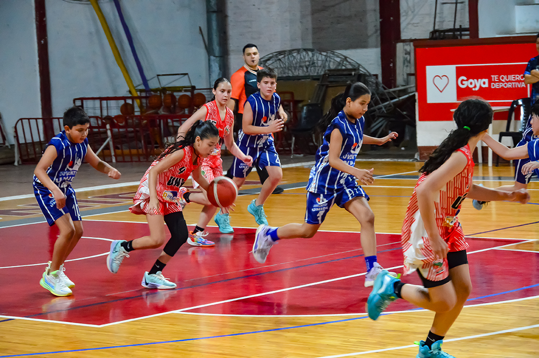 BÁSQUET: SE POSTERGA EL INICIO DEL PRE FEDERAL DE FORMATIVAS Y SE DEFINE EL CALENDARIO 2026