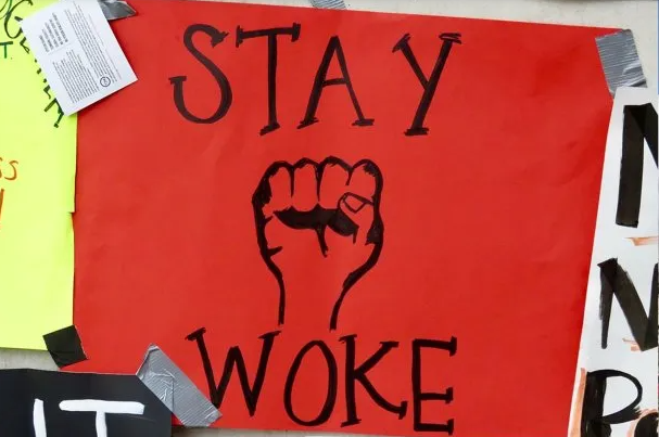 Qué es la "ideología woke" que Javier Milei llamó a "extirpar" en Davos