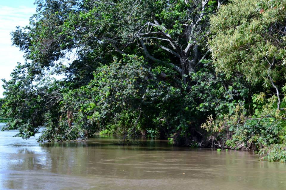 LUEGO DE LAS QUEJAS DE LOS GUÍAS DE PESCA, IMPORTANTE GESTIÓN DE MARIANO HORMAECHEA RESPONDE A PLANTEAMIENTO DE CÁMARA DE TURISMO