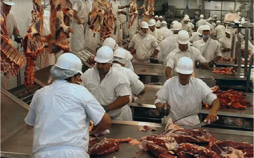 Recesión y crisis: despidos masivos en uno de los principales frigoríficos del país