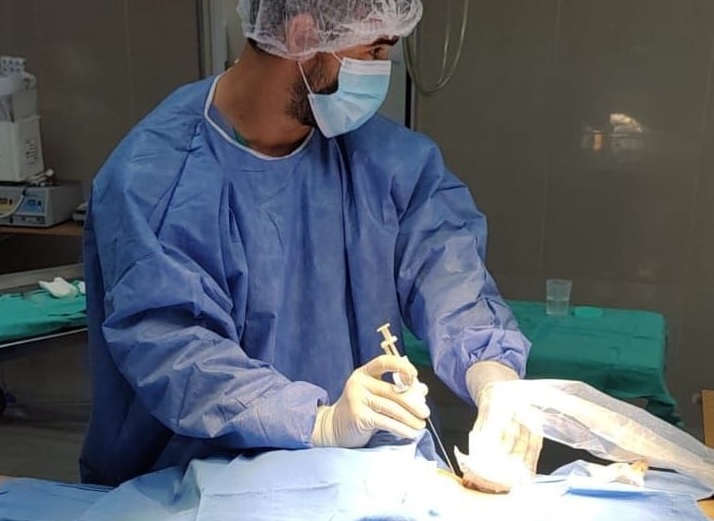 sinopsia renal