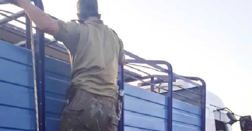 ITATÍ: LLEVABA 16 VACAS SIN PAPELES Y PAGÓ MULTA DE $2 MILLONES