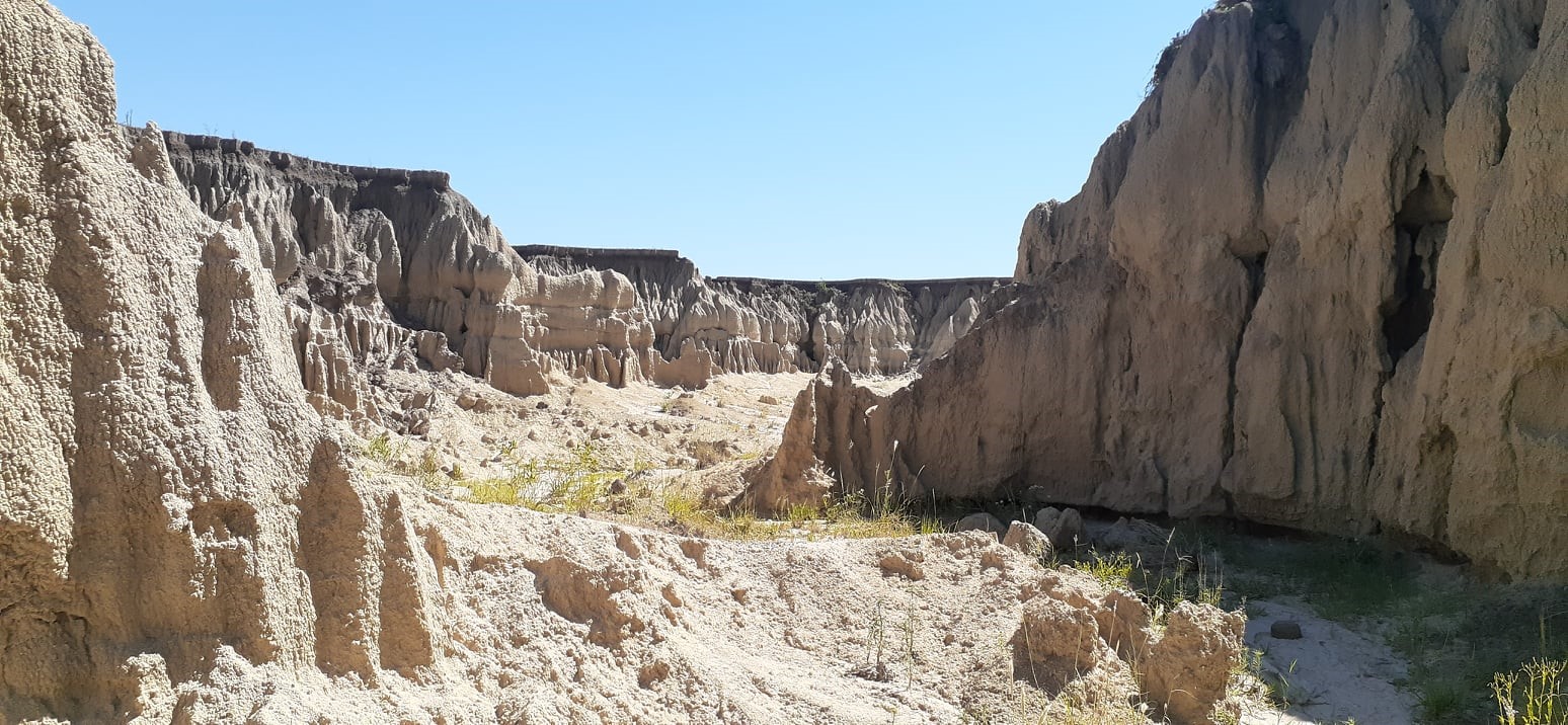 toropi